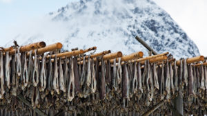 2013-stockfish-arnfinn-johnsen